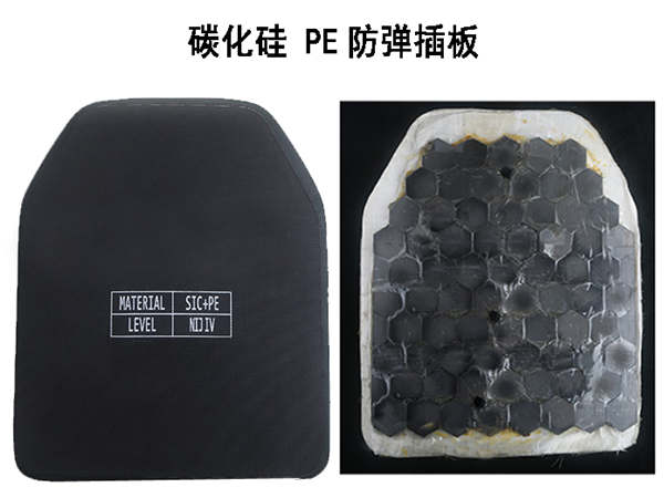 Silicon carbide inse