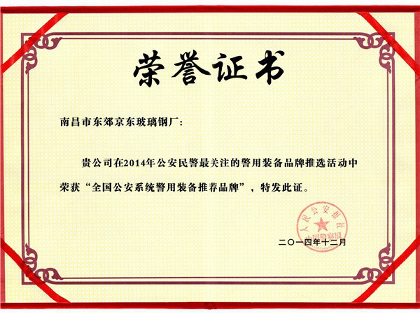 Public Security Syst